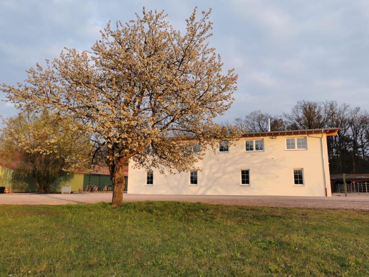 Haßloch Ferienwohnung Gestuet Von Erden מראה חיצוני תמונה